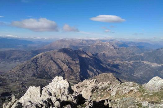 Add Image Description