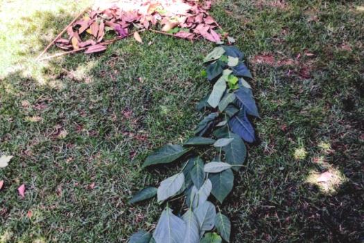 Add Image Description