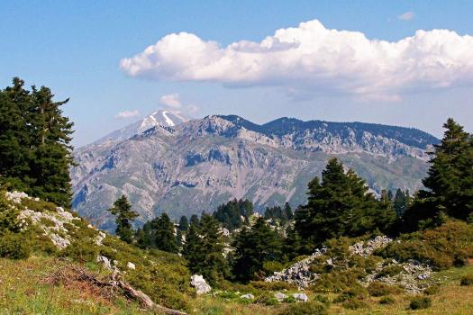 Add Image Description