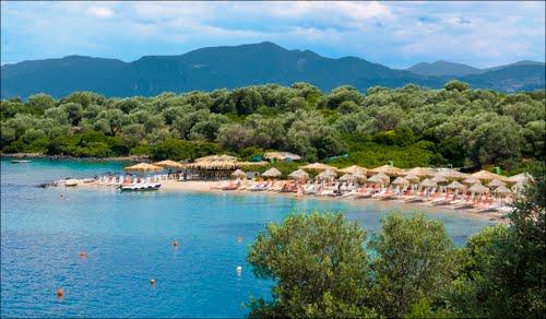 Add Image Description