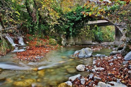 Add Image Description