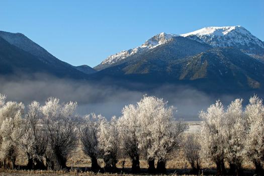 Add Image Description