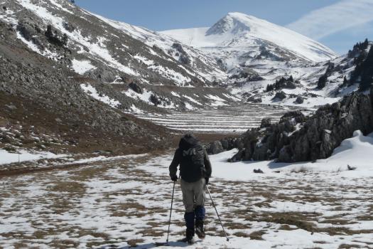 Add Image Description