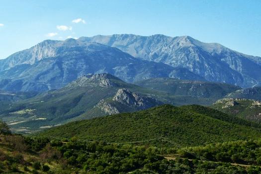 Add Image Description