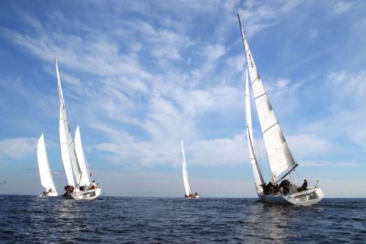 Add Image Description