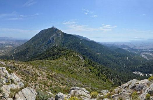 Add Image Description