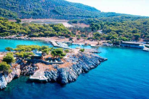 Add Image Description