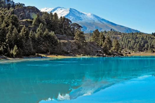 Add Image Description