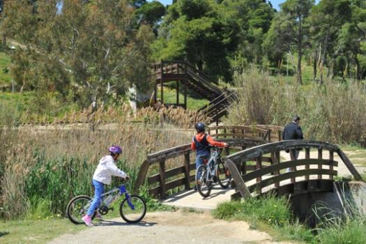 Add Image Description