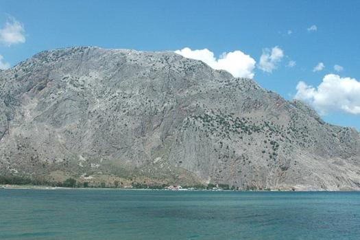 Add Image Description