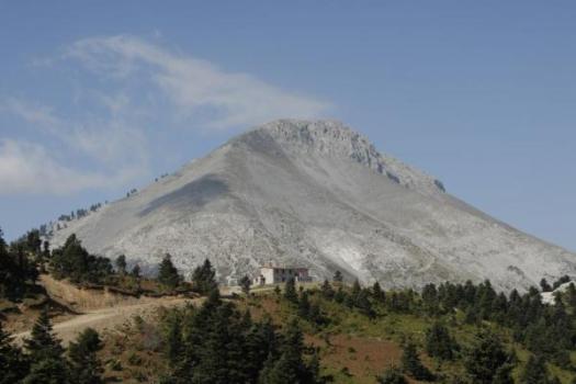 Add Image Description