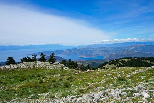 Add Image Description