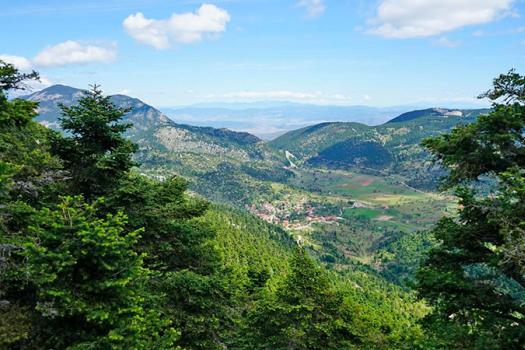 Add Image Description