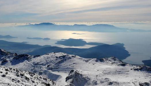 Add Image Description