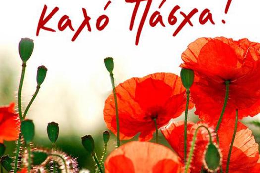 Add Image Description