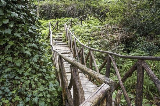 Add Image Description