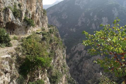 Add Image Description