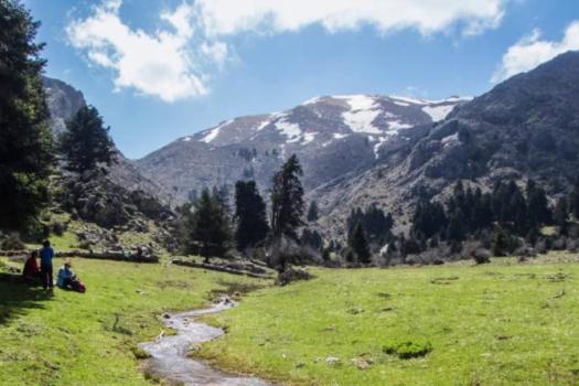 Add Image Description