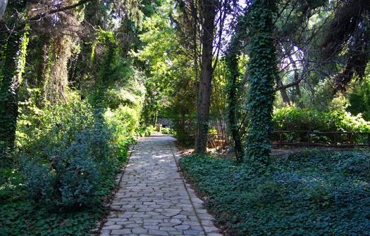 Add Image Description