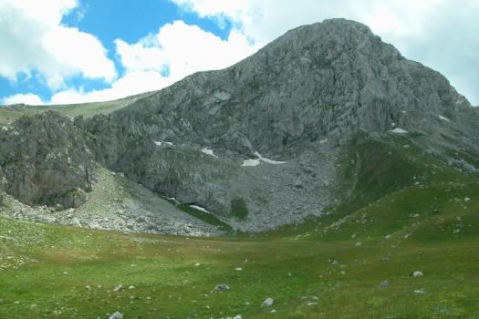 Add Image Description