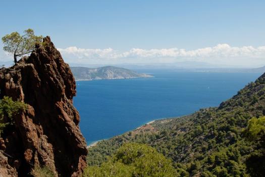 Add Image Description