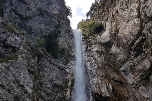 Add Image Description