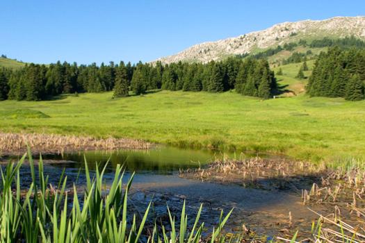 Add Image Description