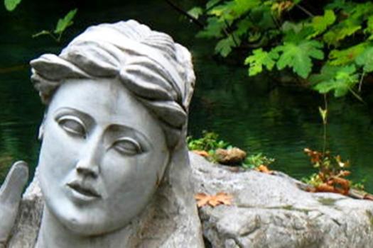 Add Image Description