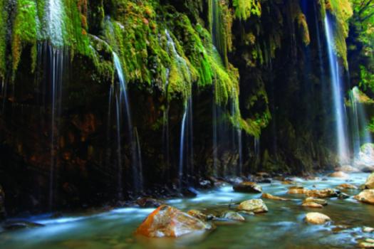 Add Image Description