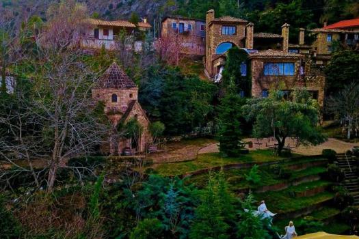 Add Image Description