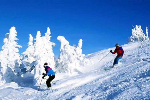 Add Image Description