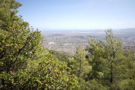 Add Image Description