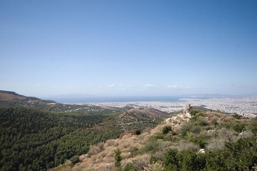 Add Image Description