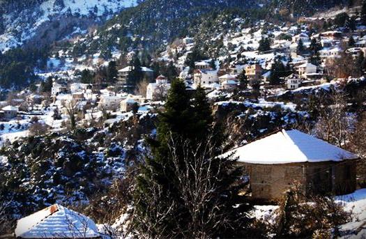 Add Image Description