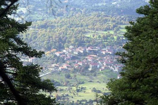 Add Image Description