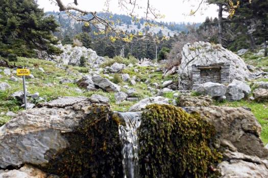 Add Image Description