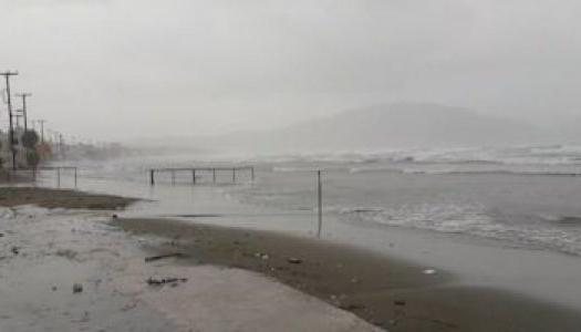 Add Image Description