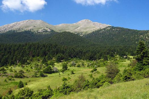 Add Image Description