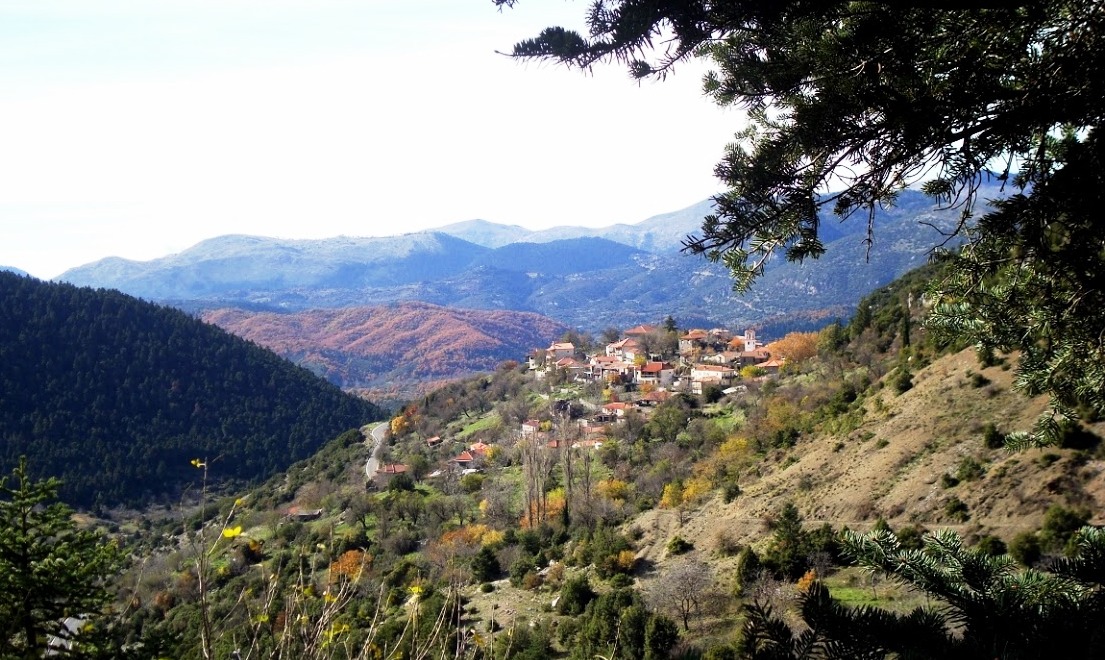 ΡΟΕΙΝΟ - ΚΟΡΥΦΗ ΑΪΝΤΙΝΗ