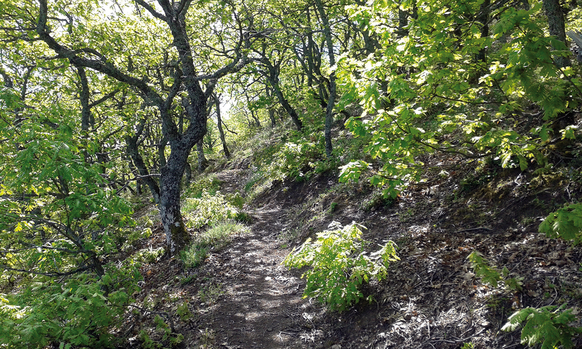 ΚΝΗΜΙΔΑ 27/3/2016