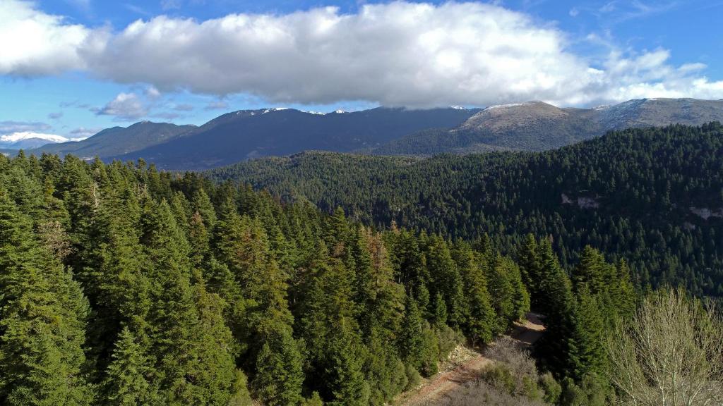 ΒΥΤΙΝΑ - ΕΛΑΤΗ 1/10/2023