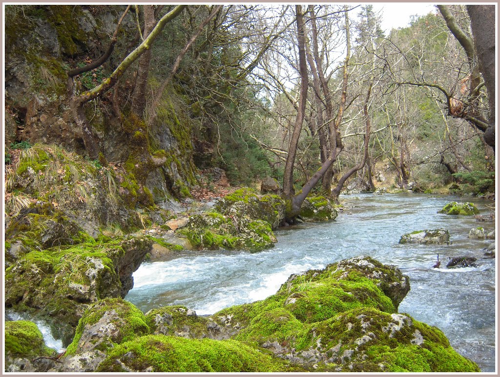 ΟΡΕΙΒΑΤΙΚΟ ΤΜΗΜΑ