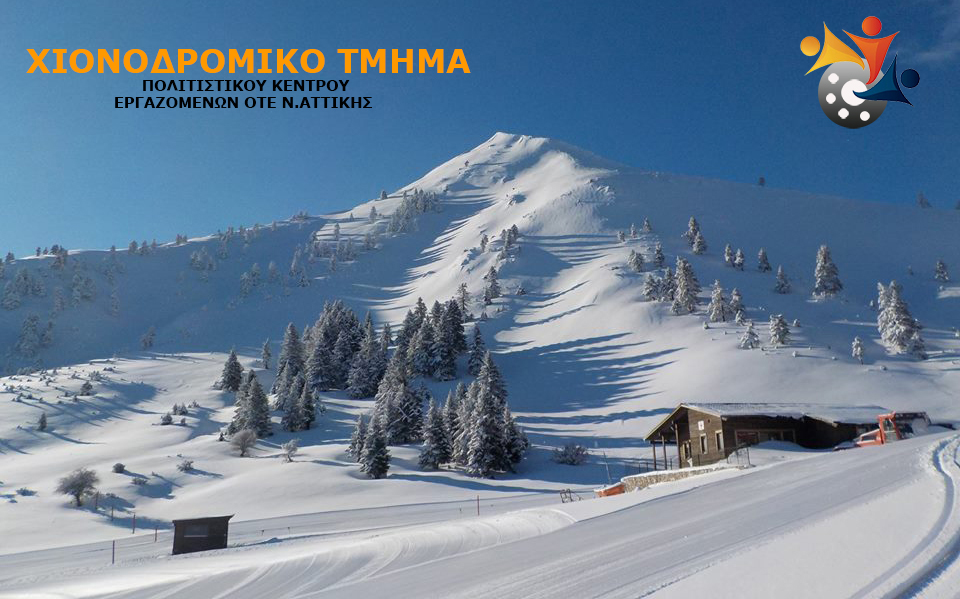 ΧΙΟΝΟΔΡΟΜΙΚΟ ΤΜΗΜΑ