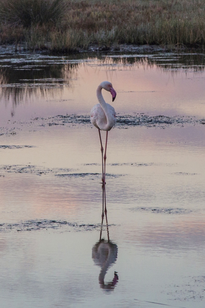 ΤΜΗΜΑ ΦΩΤΟΓΡΑΦΙΑΣ