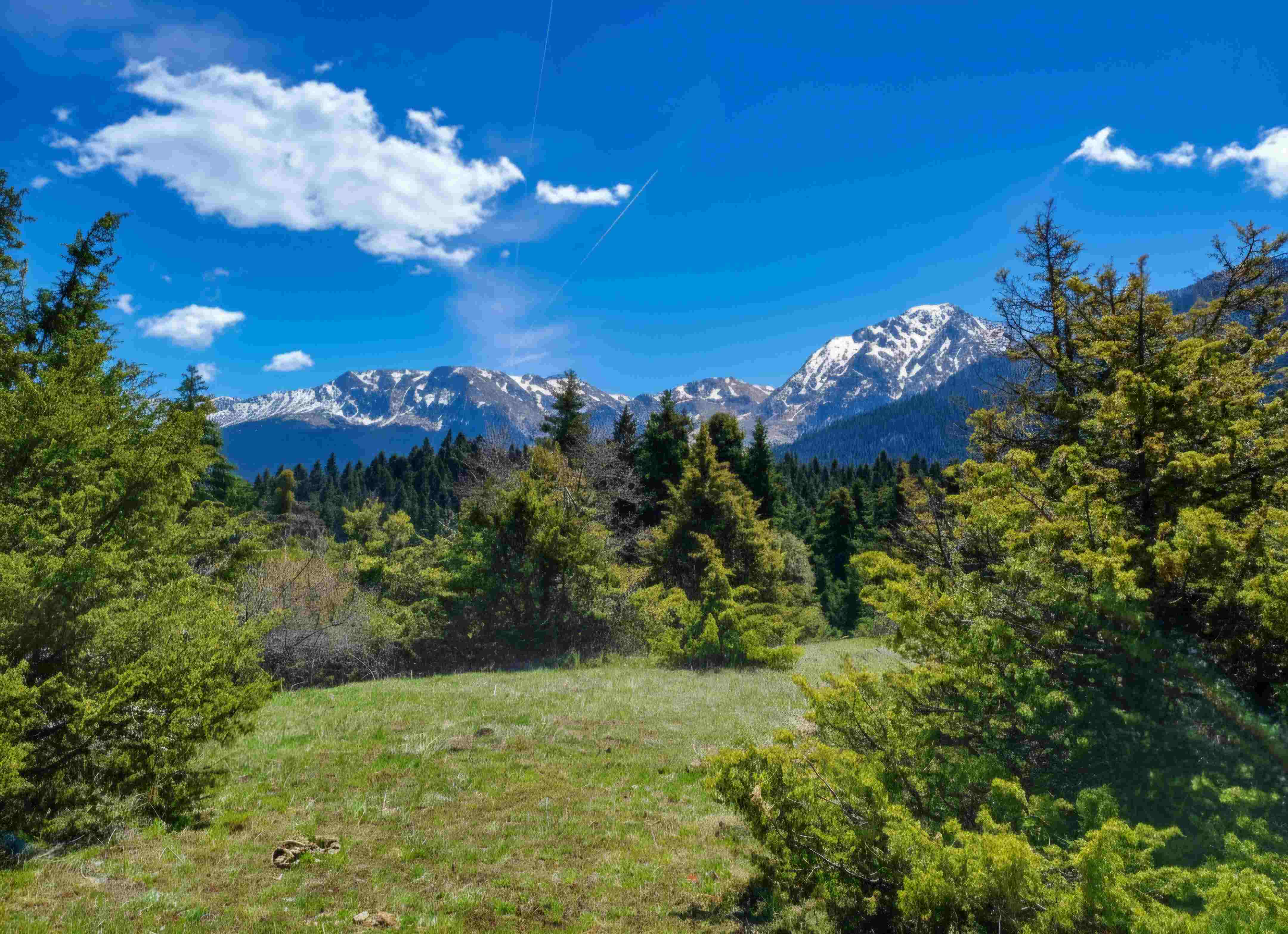 ΣΤΡΩΜΗ ΦΩΚΙΔΑΣ 16/11/2025