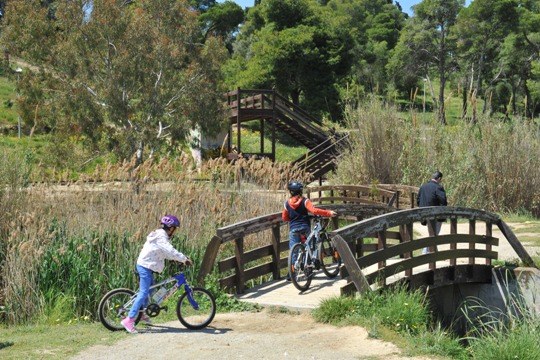 ΠΟΔΗΛΑΤΙΚΟ ΤΜΗΜΑ
