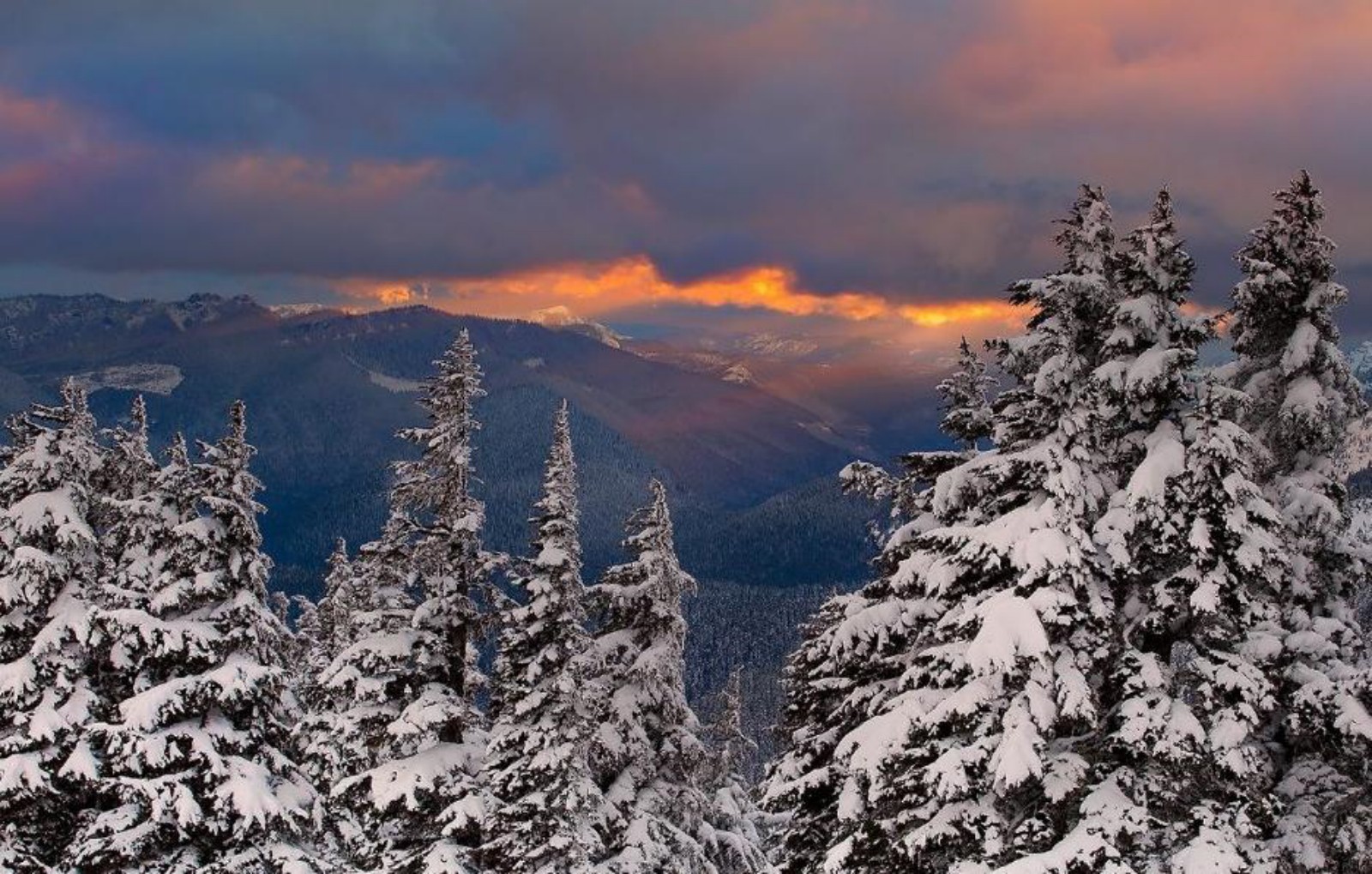 ΚΑΛΛΙΔΡΟΜΟ 28/2/2015