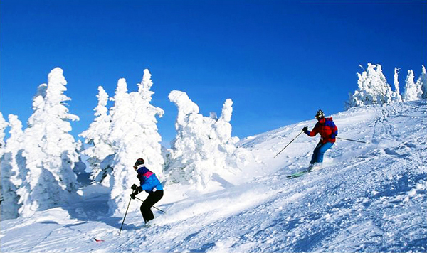 ΧΙΟΝΟΔΡΟΜΙΚΟ ΤΜΗΜΑ