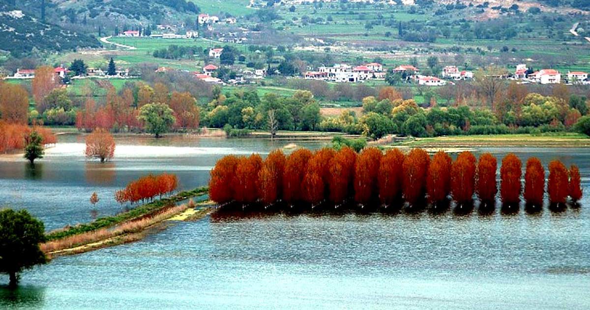 ΜΟΝΟΗΜΕΡΗ ΣΤΗ ΣΤΥΜΦΑΛΙΑ