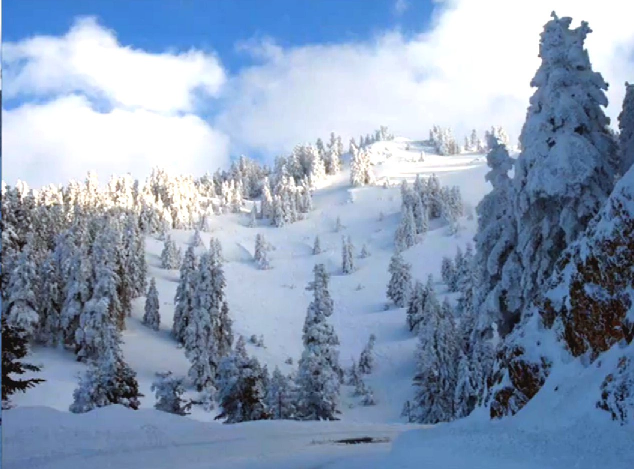 ΣΕΜΙΝΑΡΙΟ ΟΡΕΙΒΑΤΙΚΟΥ ΤΜΗΜΑΤΟΣ